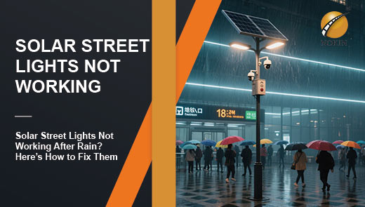 solar street lights